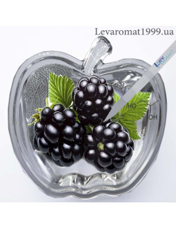 Ароматизатор Ожина в/р; Ароматизатор Ожина в/р;