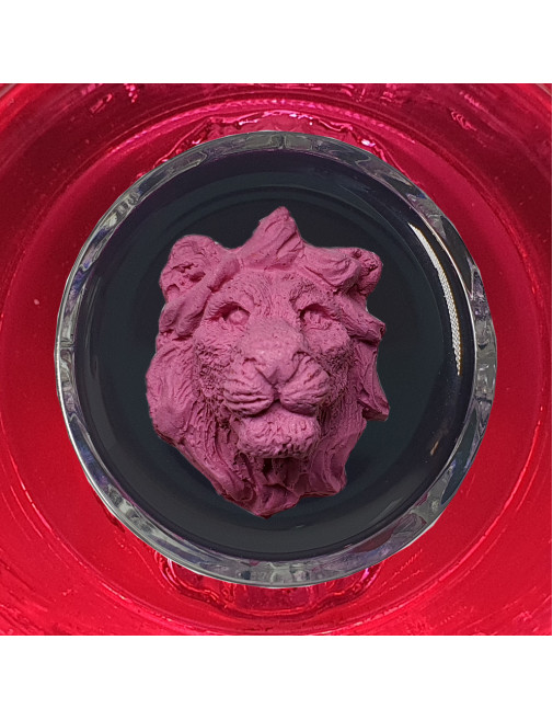 Барвник Карміна екстракт 8%