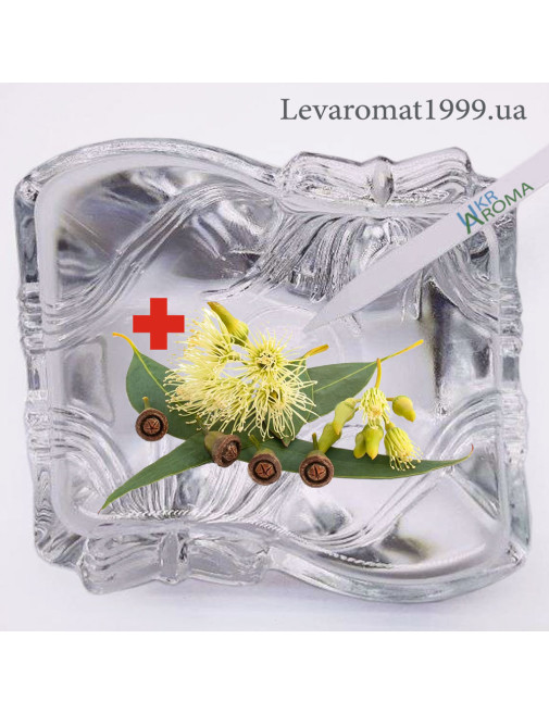 Ароматизатор Евкаліпт в+ж/р; в/р;