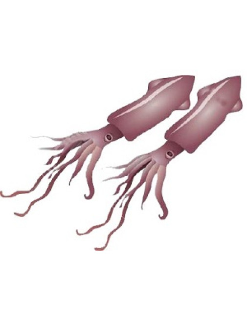 Ароматизатор Кальмари