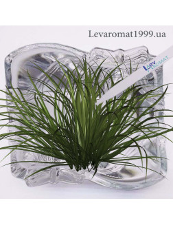 Ароматизатор Свіжоскошена трава Ароматизатор Свіжоскошена трава