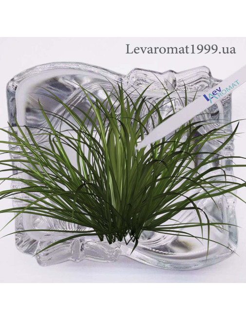 Ароматизатор Свіжоскошена трава
