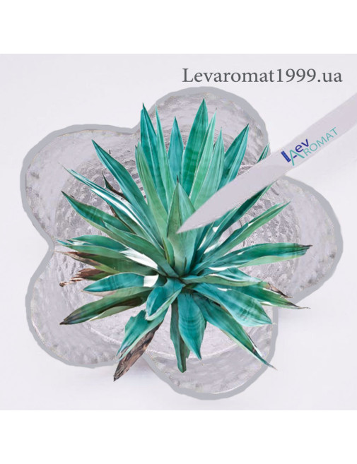 Ароматизатор Кактус (Текіла) в/р;