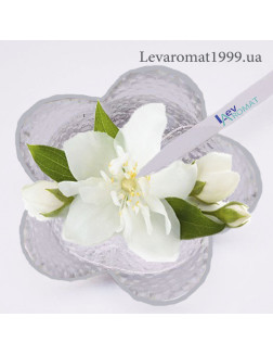 Ароматизатор Жасмін ж/р;