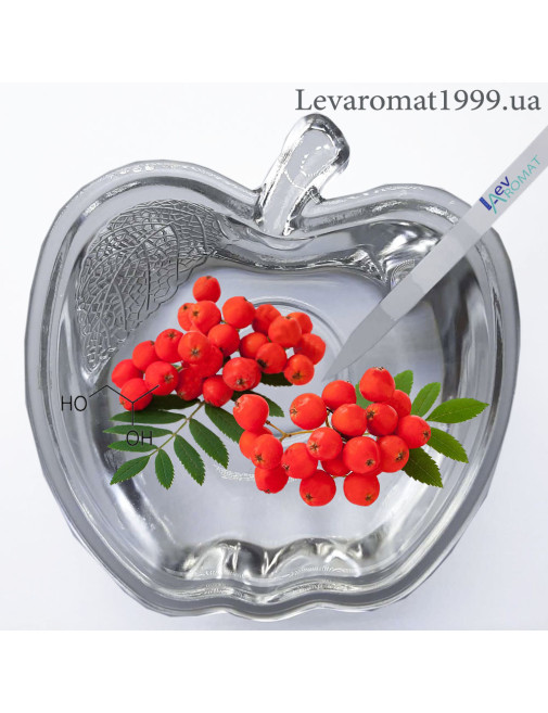 Ароматизатор Горобина червона