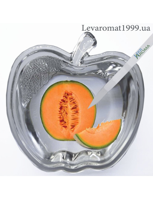 Ароматизатор Диня в/р;