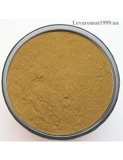 Гриб білий екстракт