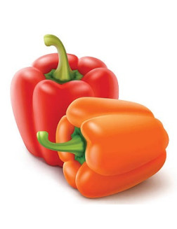 Ароматизатор Паприка в/р;